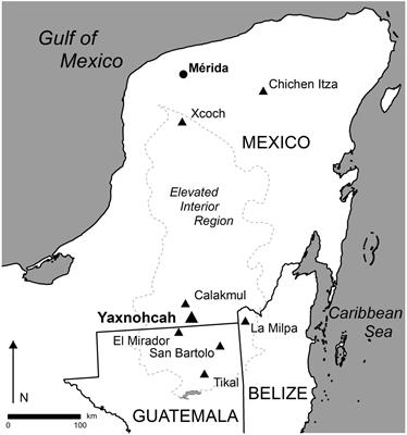 Paleoecological Studies at the Ancient Maya Center of Yaxnohcah Using Analyses of Pollen, Environmental DNA, and Plant Macroremains